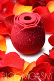 Bloomgasm Wild Rose 10X Suction