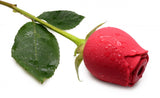 Bloomgasm Wild Rose 10X Suction