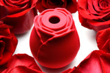 Bloomgasm Wild Rose 10X Suction