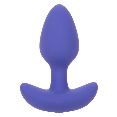 "Calexotics Connect Tapered Probe - Purple SE0001403"