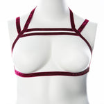 Gender Fluid Sugar Coated Harness - Small/large - Raspberry GFL-H401